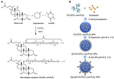 Polydopamine-Functionalized CA-(PCL-ran-PLA) Nanoparticles for Target Delivery of Docetaxel and <mark class="highlighted">Chemo-photothermal Therapy</mark> of Breast Cancer